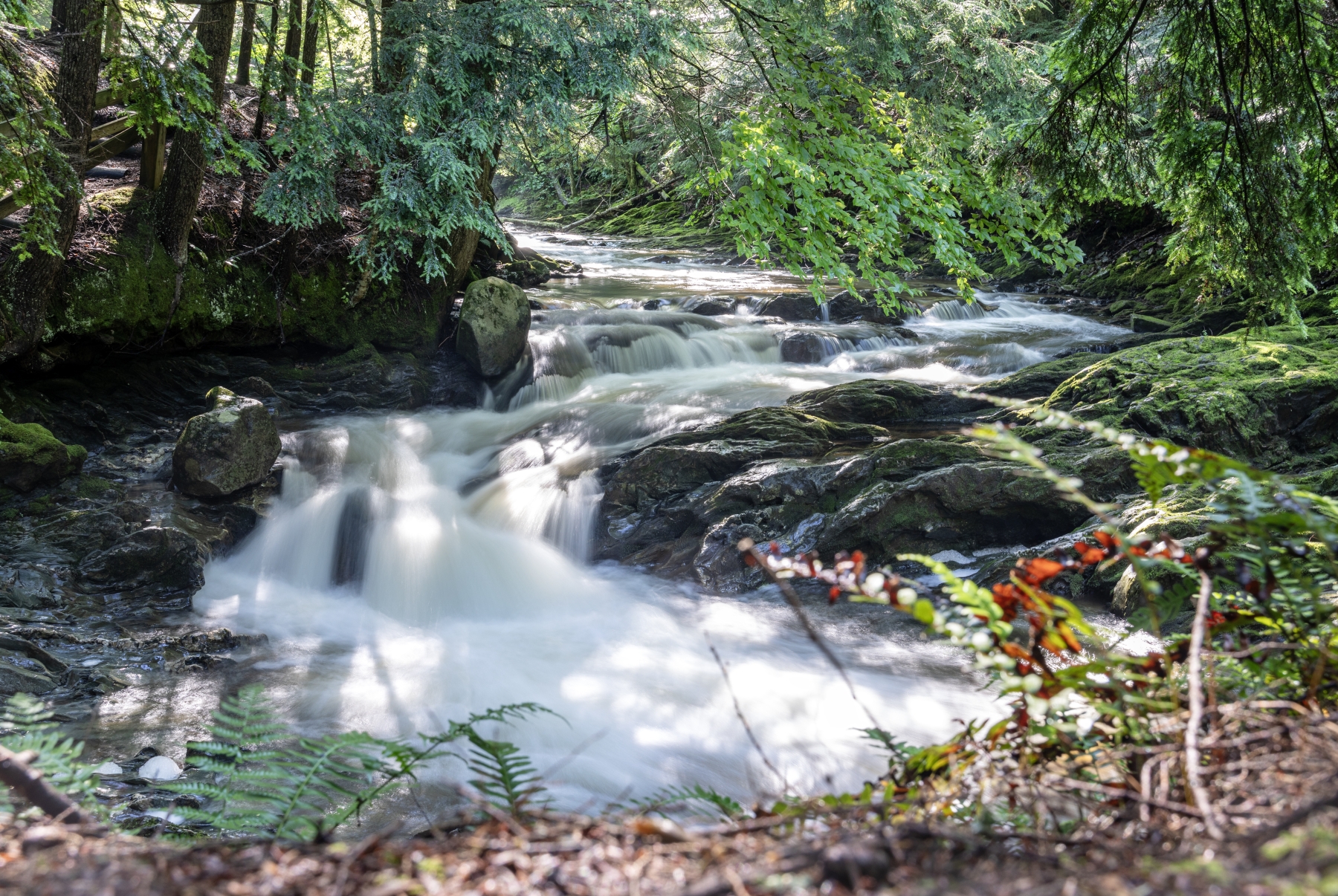 Bristol Memorial Trail, Bristol, Vermont